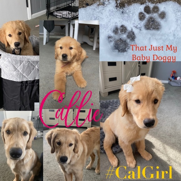 ⭐️ Live Show ⭐️ - Picture 4 of 5